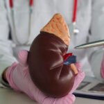 Renal Transplants Treatment